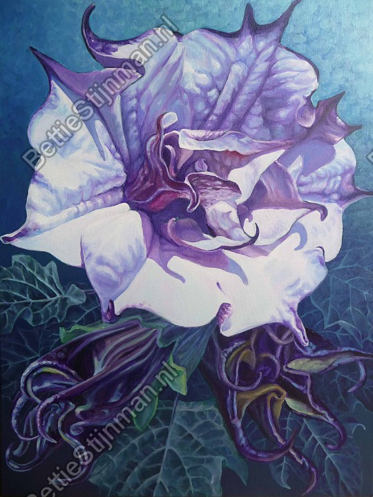 <head>Grote Datura</head>