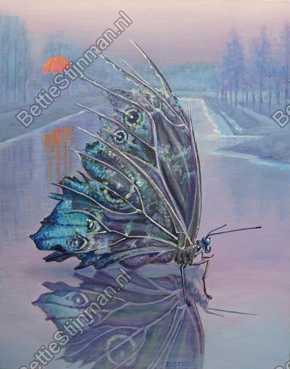 <head>Wintervlinder  /  Butterfly in winter</head>