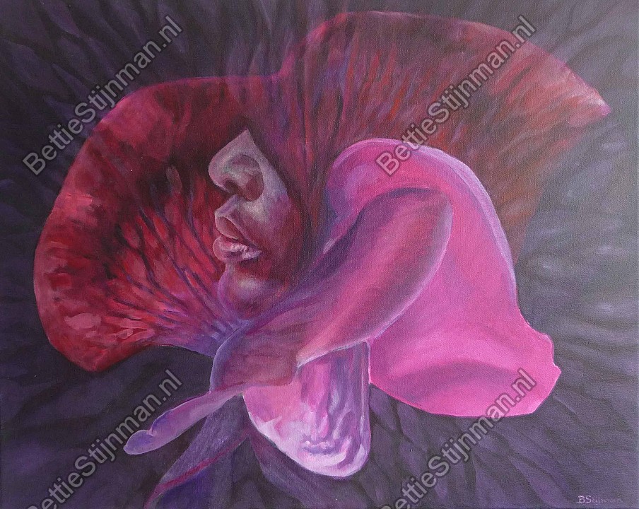 <head>Lathyrus lady</head>