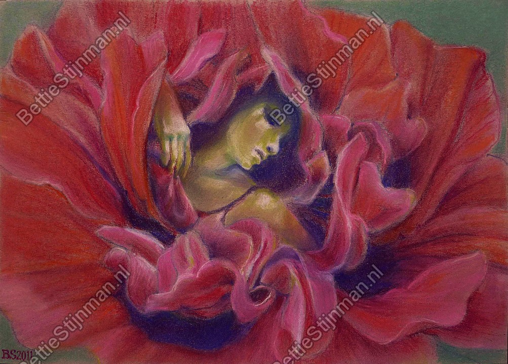 <head>Papaverdanseres  /  Poppy dancer</head>