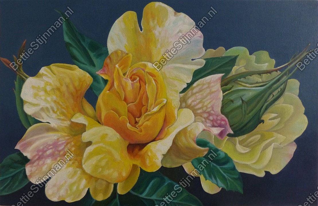 <head>Roos "Sunny Sky"</head>